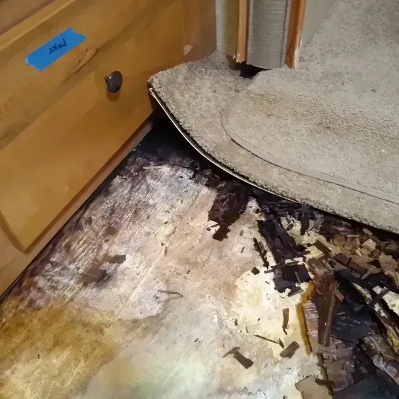 Wood Floor Water Damage in South Chicago Heights, IL